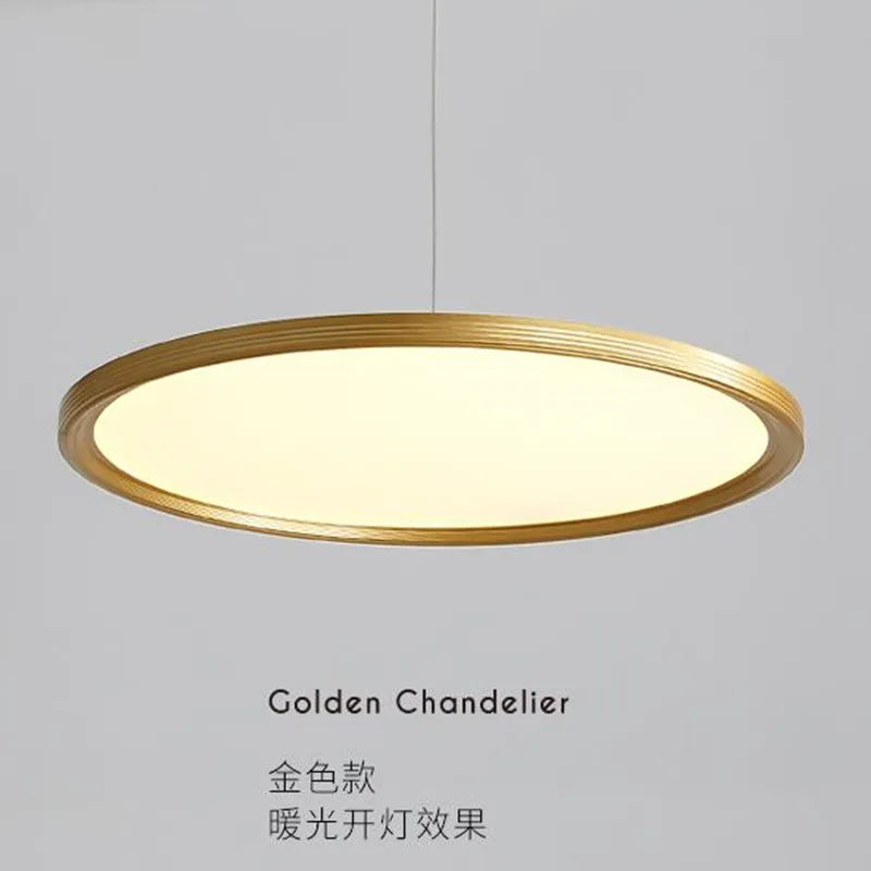 Moderne elegante industriële hanglamp