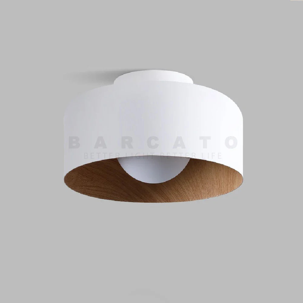 Moderne noordse design heldere plafondlamp