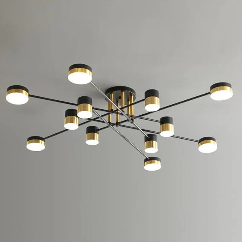 Elegante lichte metalen LED kroonluchter