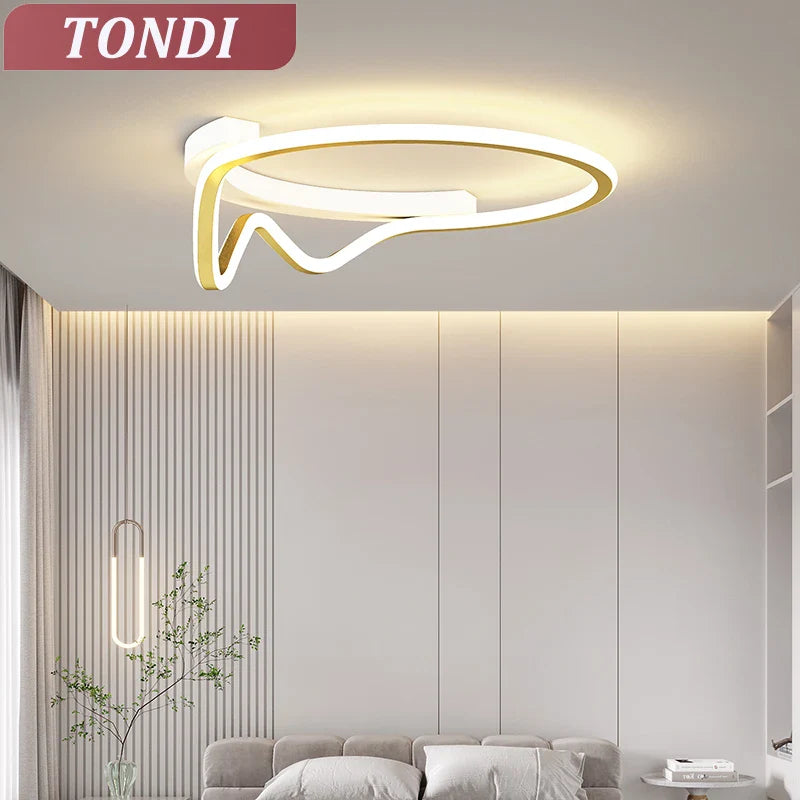 Moderne elegante kroonluchter
