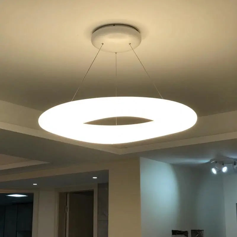 Artistieke moderne lichte design kroonluchter