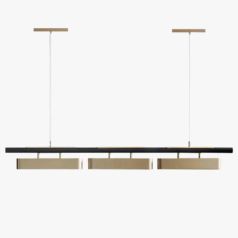 Elegante zwarte eigentijdse hanglamp