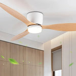Plafonnier Ventilateur Pour Chambre